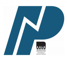 Northwestern Polytechnic